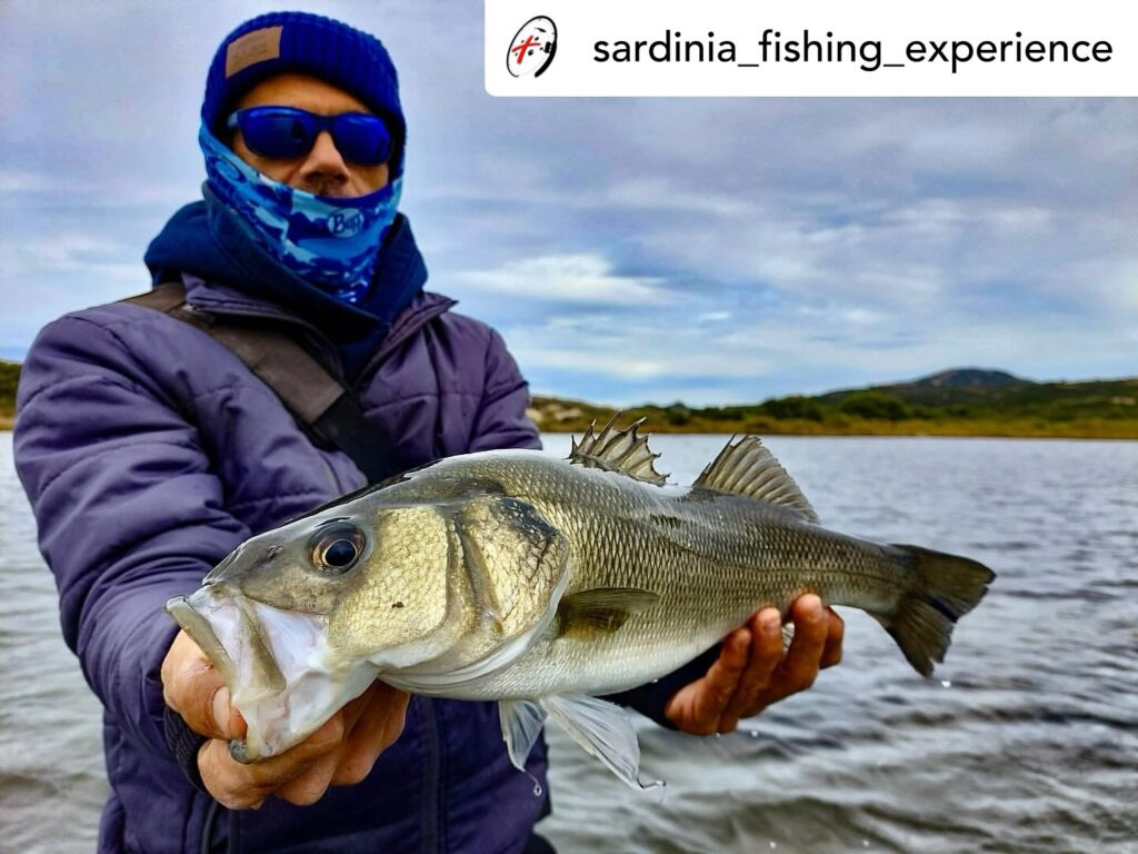 Contenuto Instagram di @aigupp