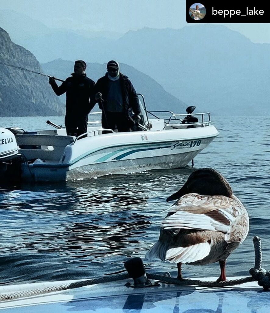 Contenuto Instagram di @aigupp