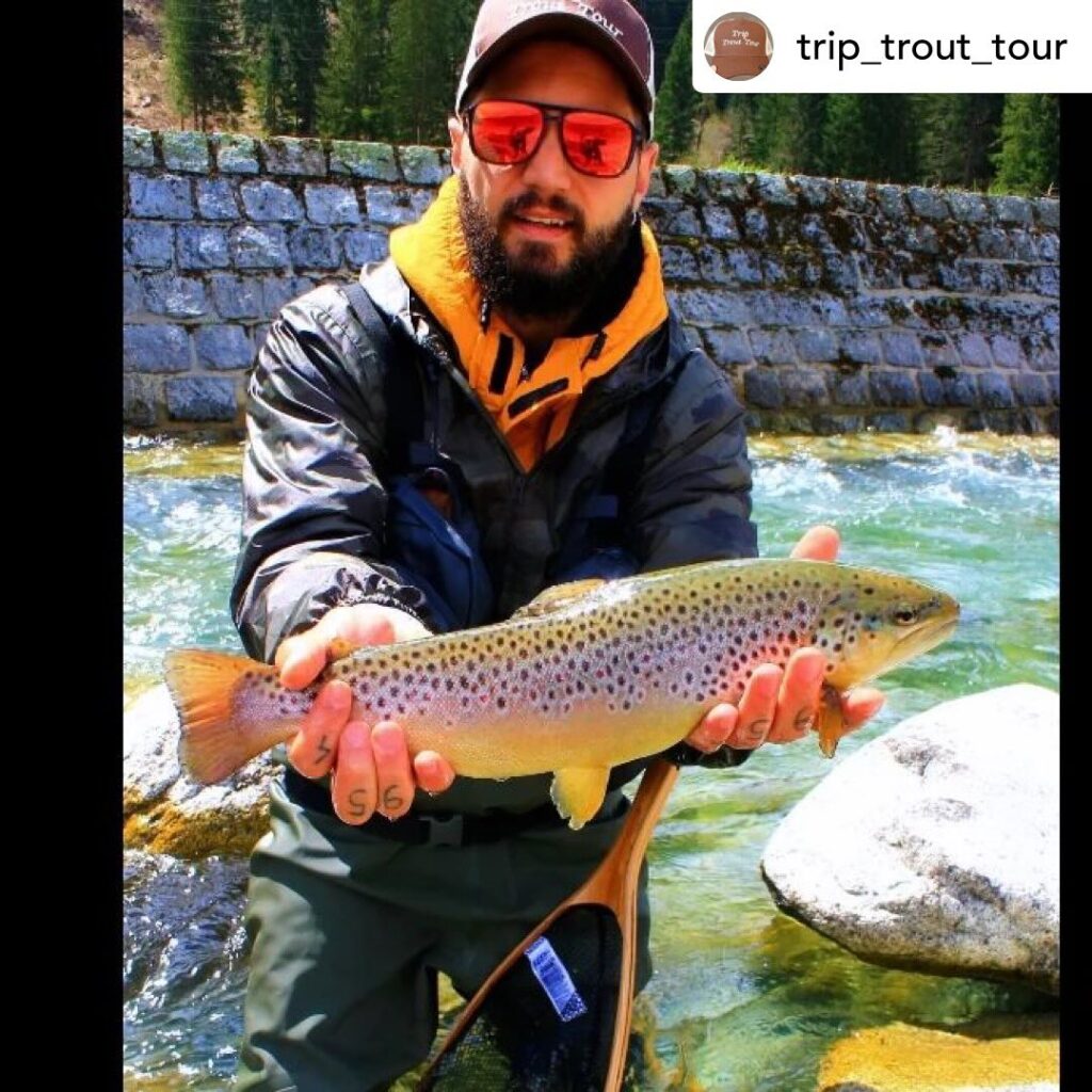 Contenuto Instagram di @aigupp