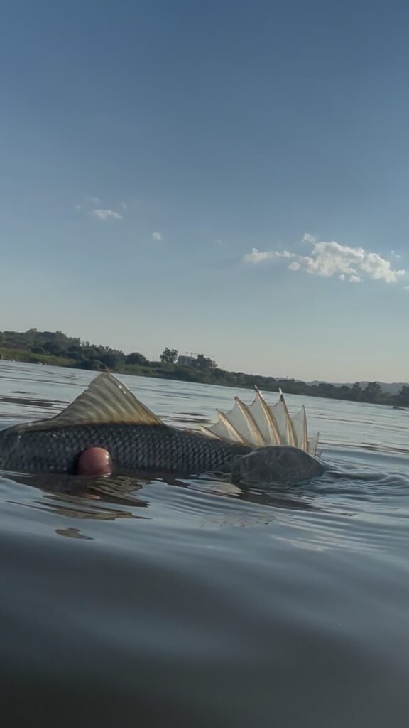 Contenuto Instagram di @sardinia_fishing_experience
