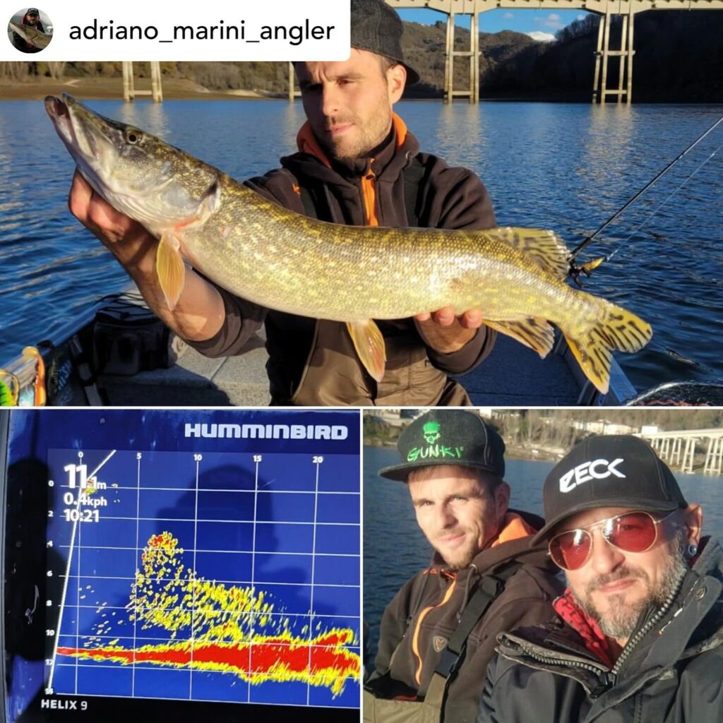Contenuto Instagram di @aigupp