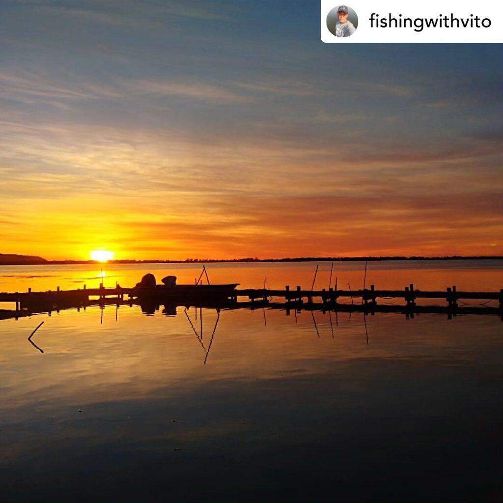 Contenuto Instagram di @aigupp