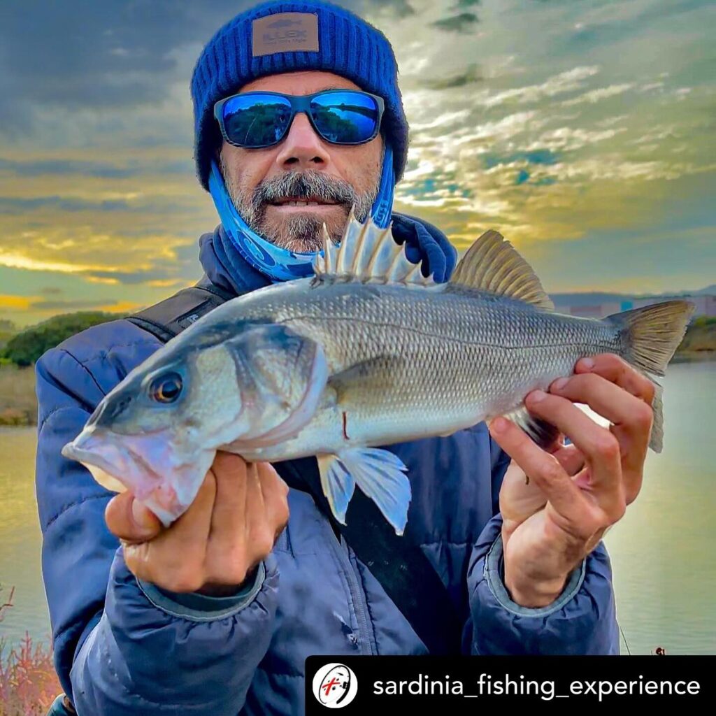 Contenuto Instagram di @aigupp