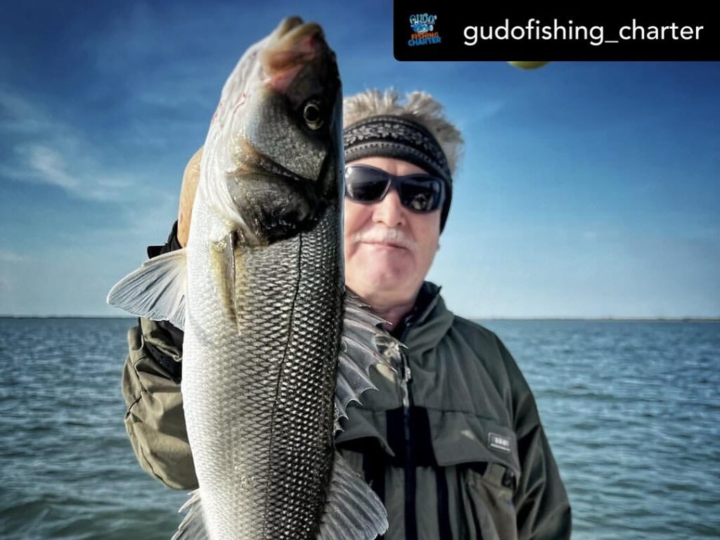 Contenuto Instagram di @aigupp
