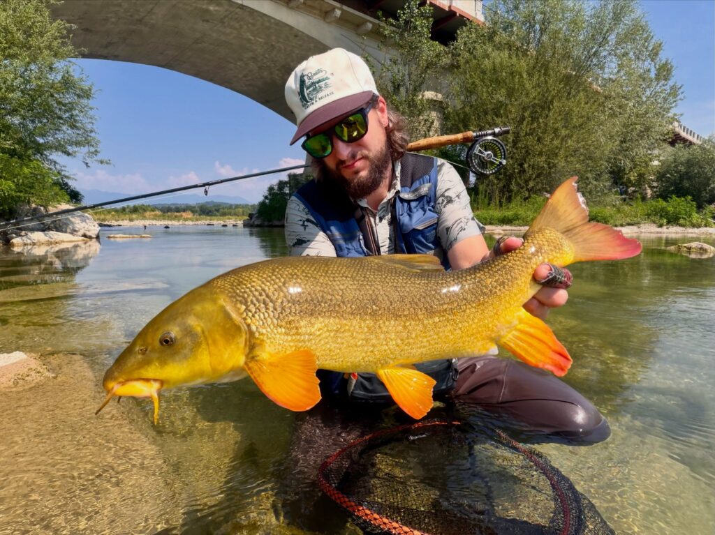 Contenuto Instagram di @froestaflyfishing