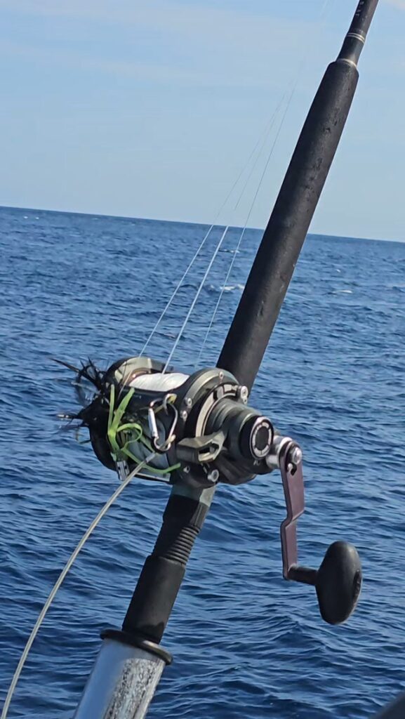 Contenuto Instagram di @fly.fishing.sicily.experience