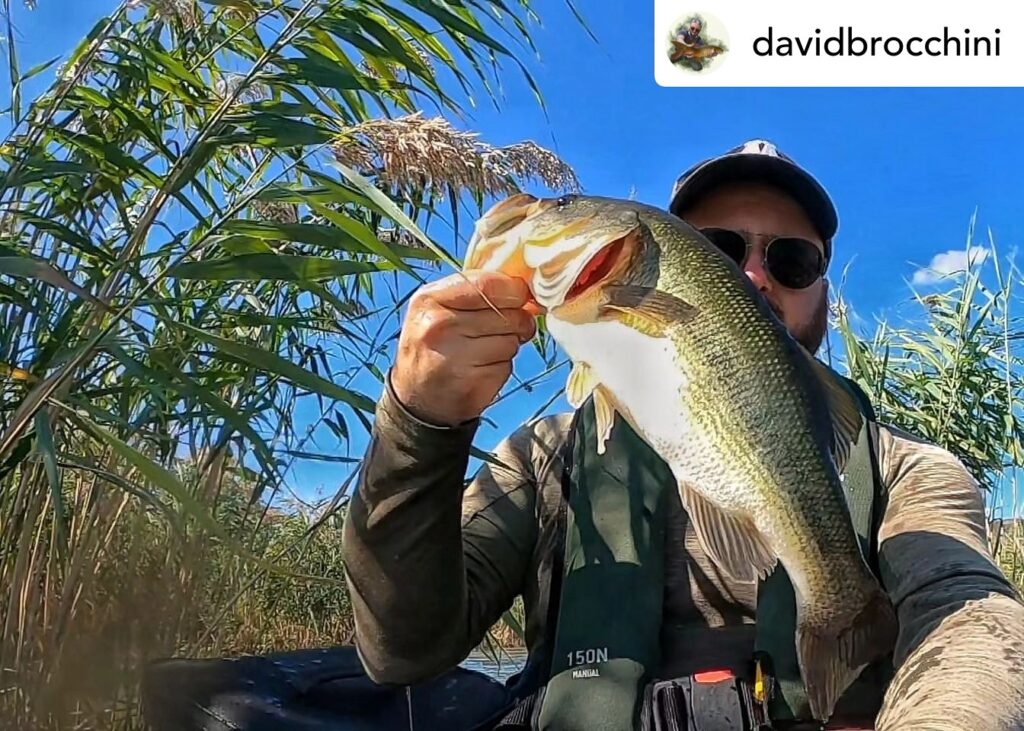 Contenuto Instagram di @aigupp