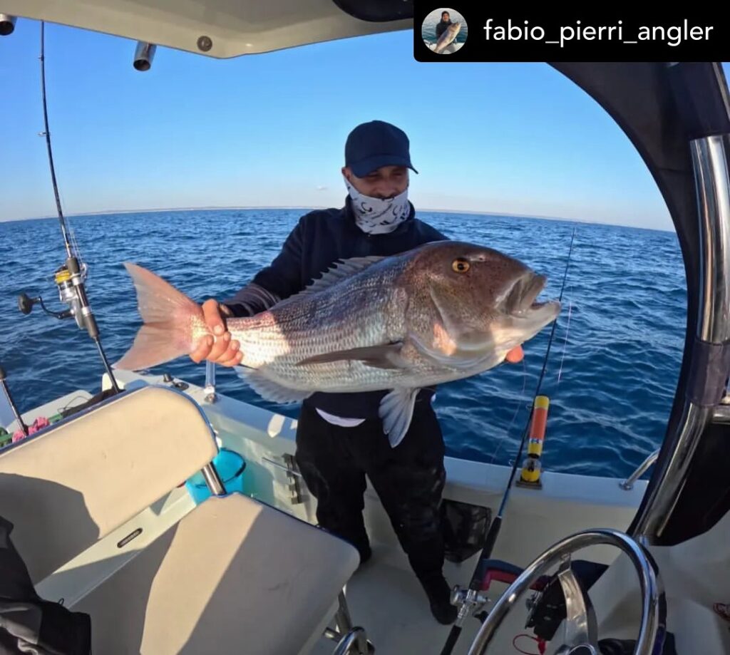 Contenuto Instagram di @aigupp