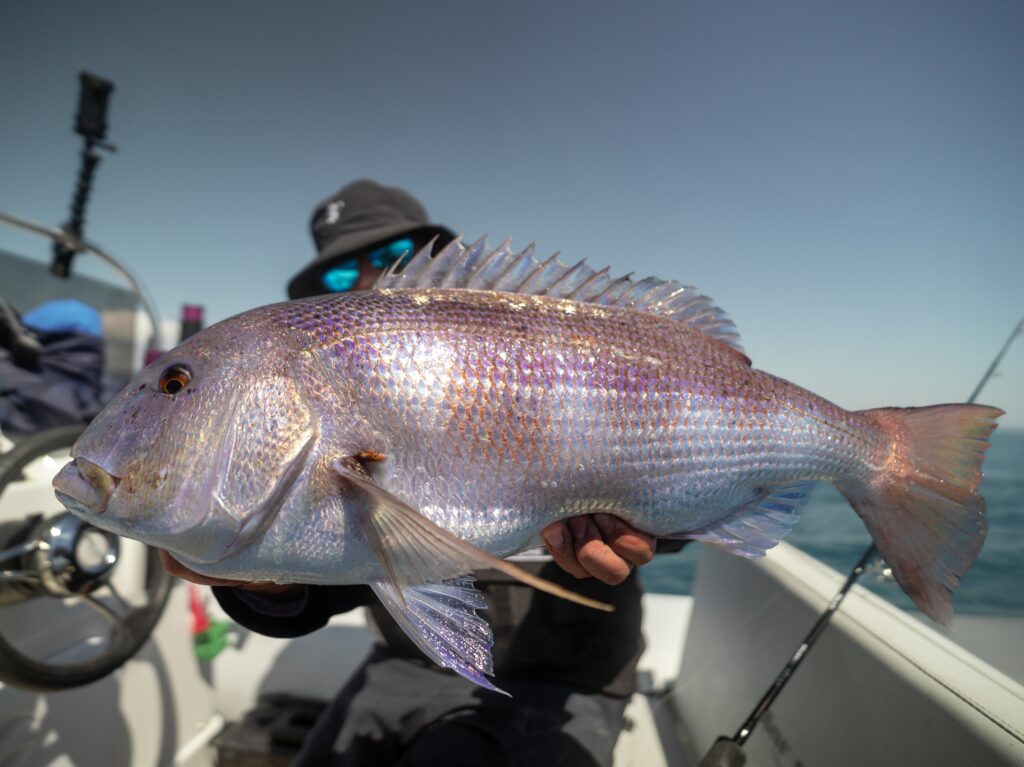 Contenuto Instagram di @dr.fishing90