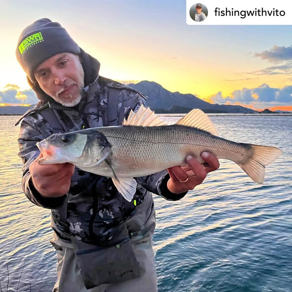 Contenuto Instagram di @aigupp