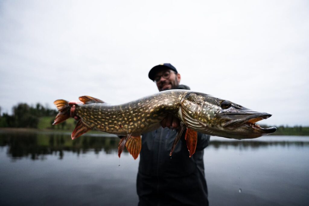 Contenuto Instagram di @mrspinner_fishing