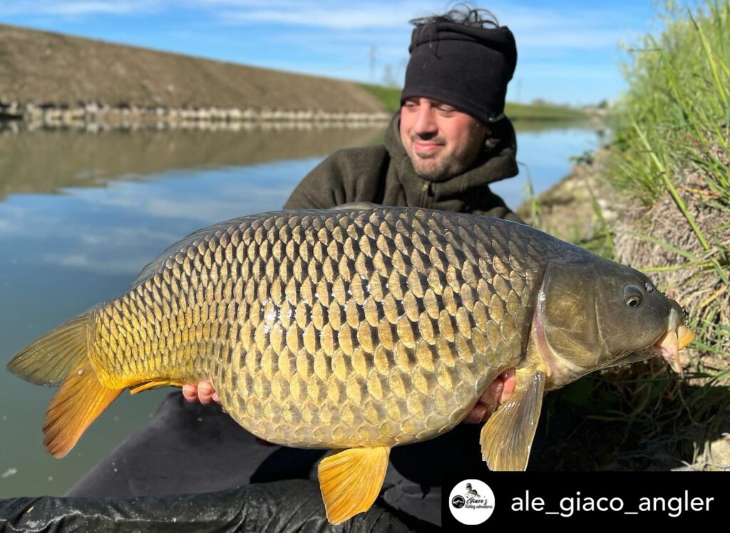 Contenuto Instagram di @aigupp