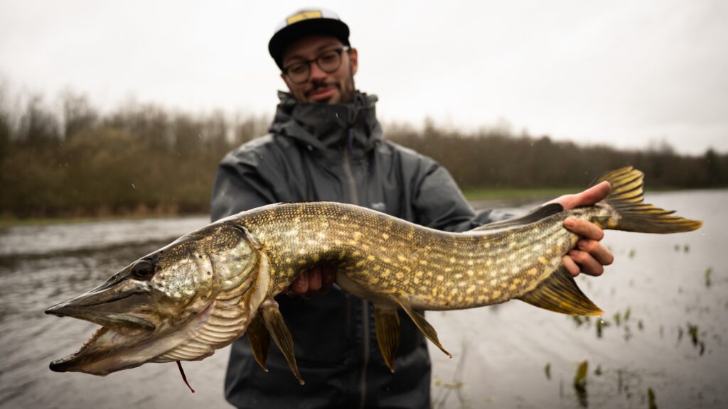 Contenuto Instagram di @mrspinner_fishing