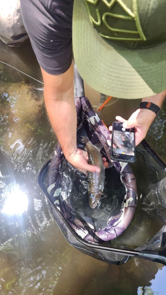 Contenuto Instagram di @fly.fishing.sicily.experience