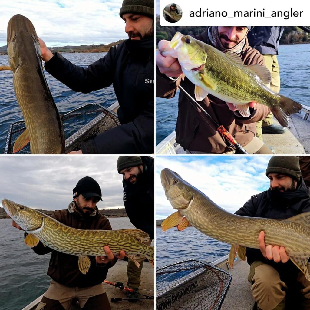 Contenuto Instagram di @aigupp