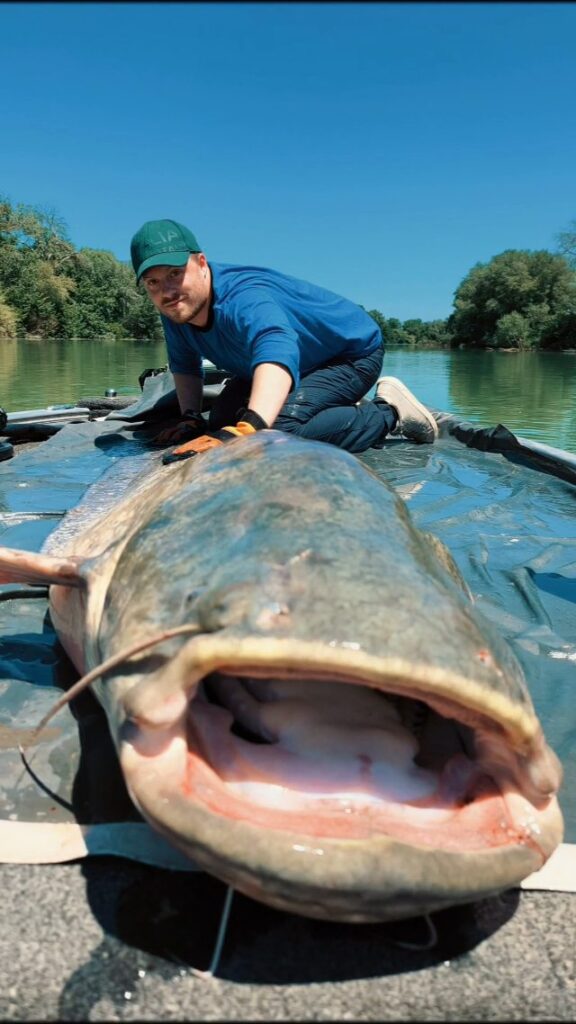 Contenuto Instagram di @adriano_marini_angler