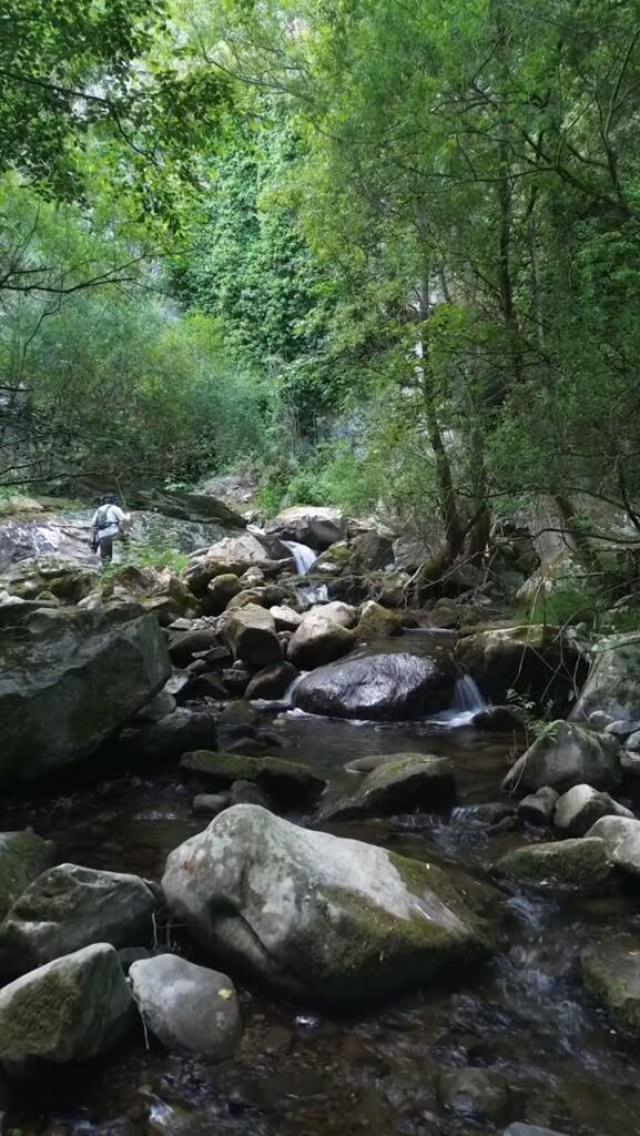 Contenuto Instagram di @fly.fishing.sicily.experience
