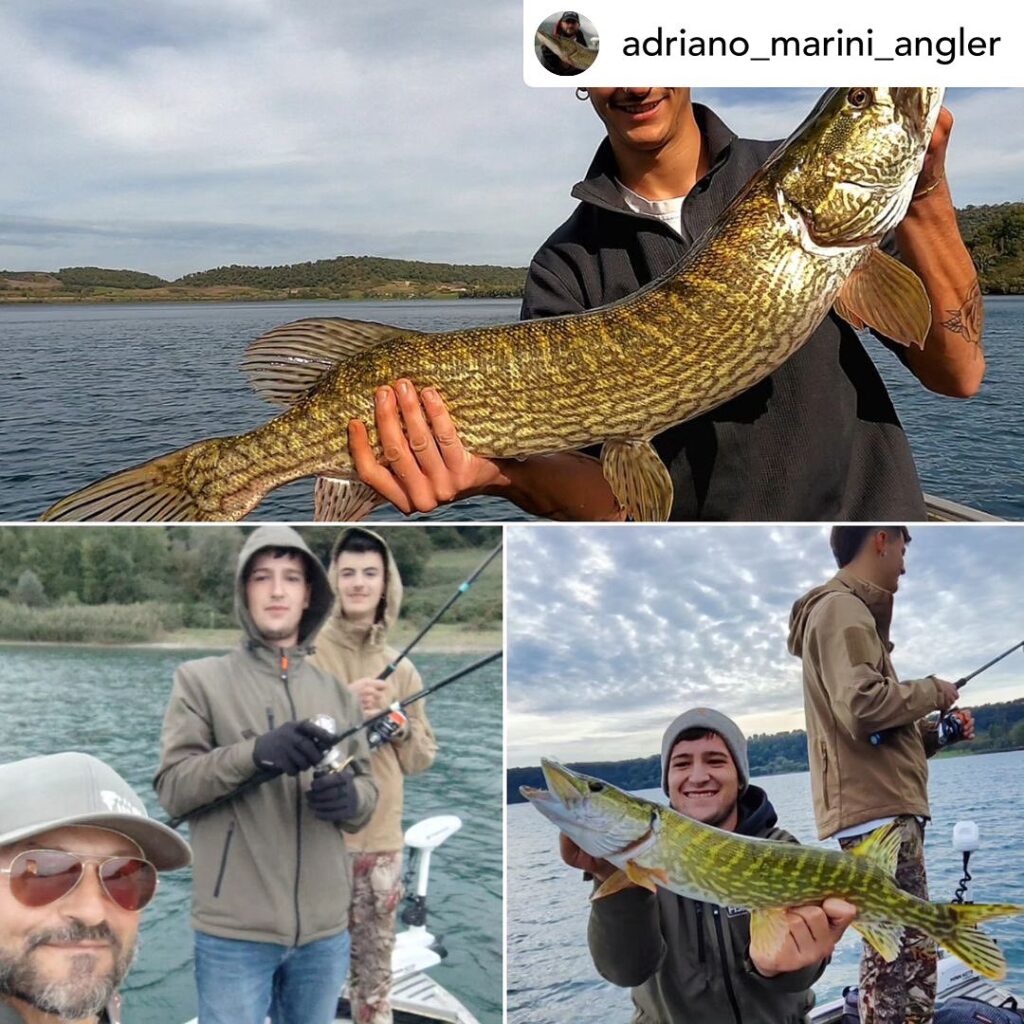 Contenuto Instagram di @aigupp