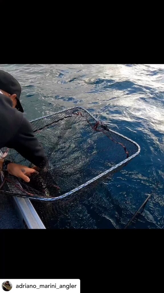 Contenuto Instagram di @aigupp