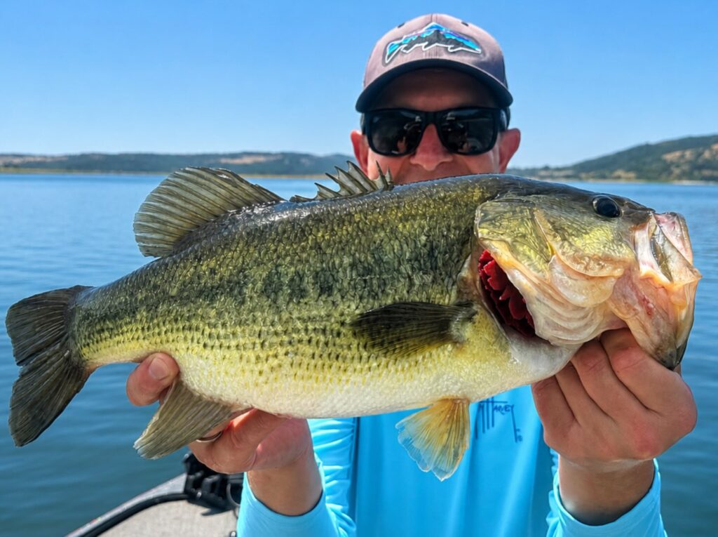 Contenuto Instagram di @mc_bass_guide