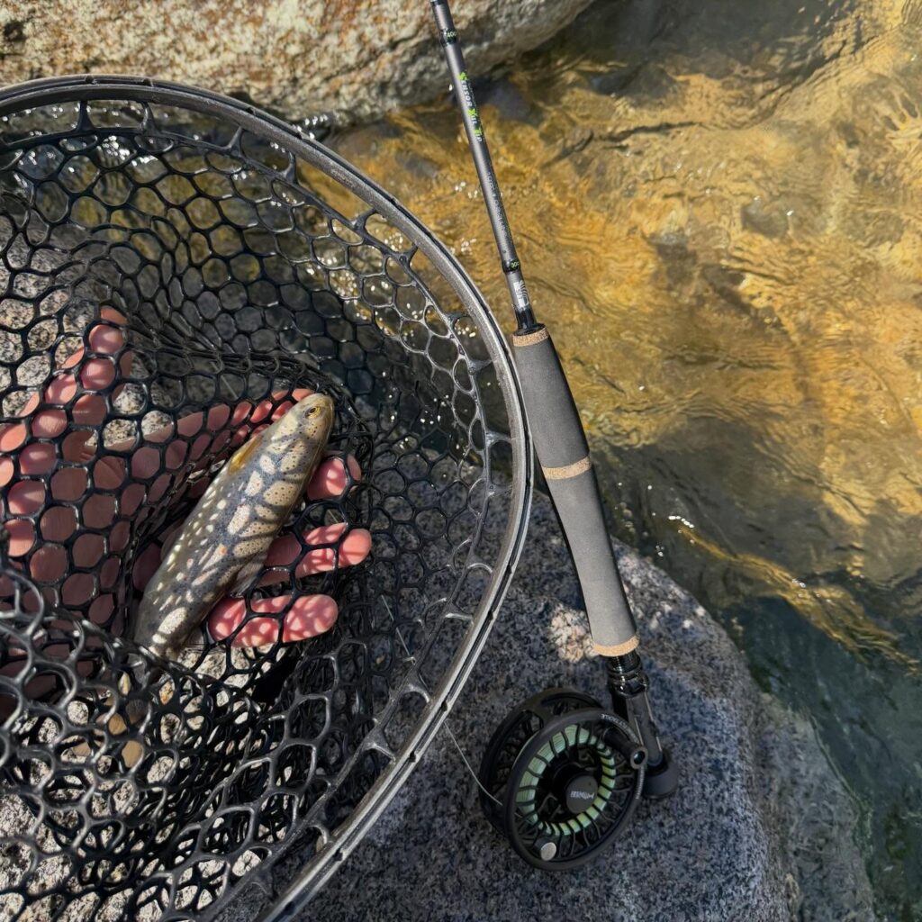 Contenuto Instagram di @frank.fishing.guide.piemonte