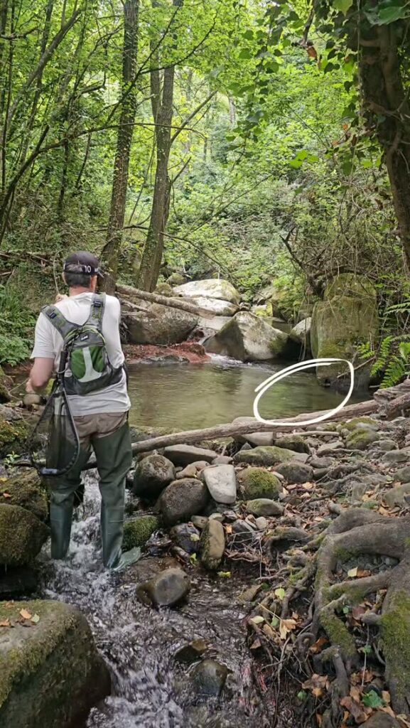 Contenuto Instagram di @fly.fishing.sicily.experience