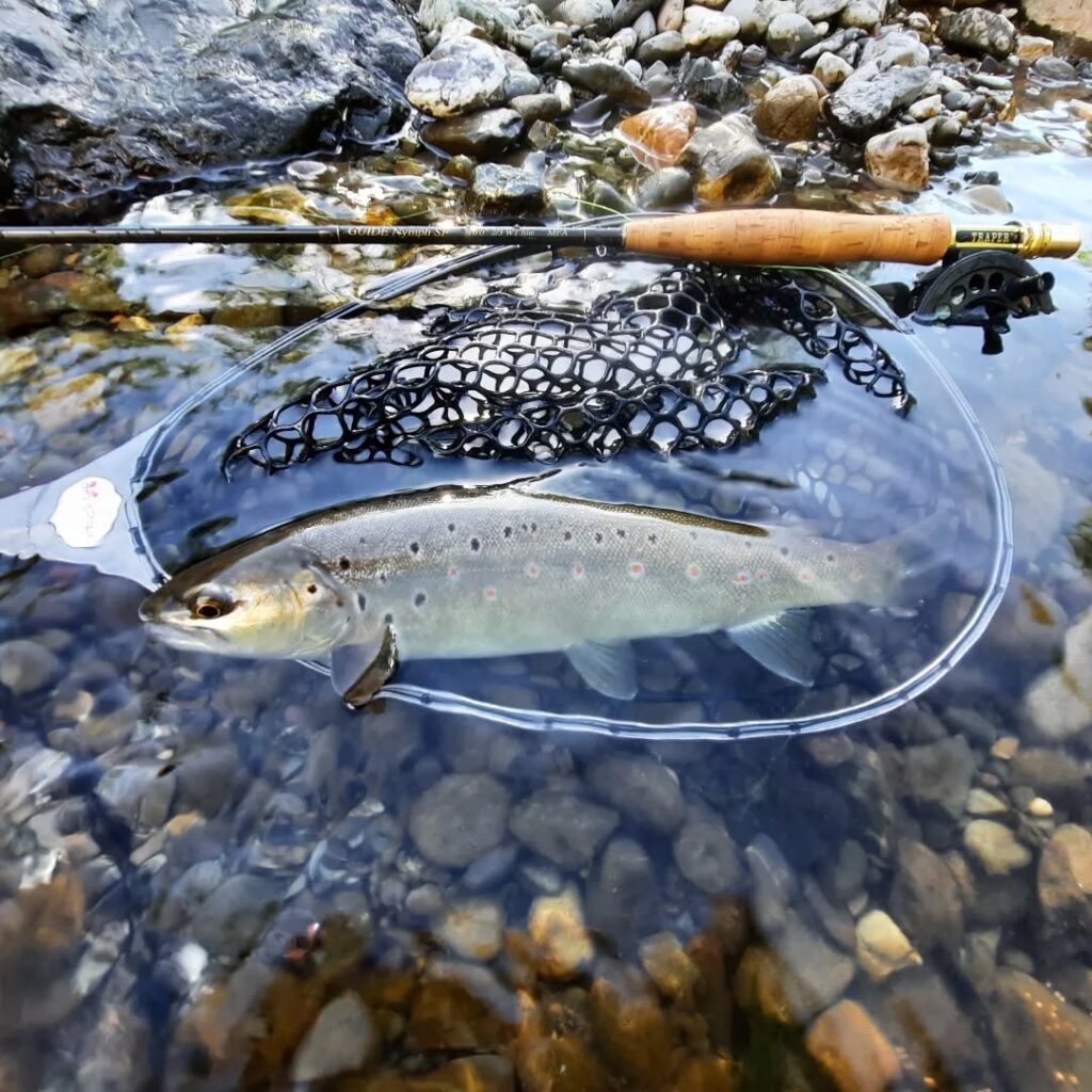 Contenuto Instagram di @flyfishingcinqueterre