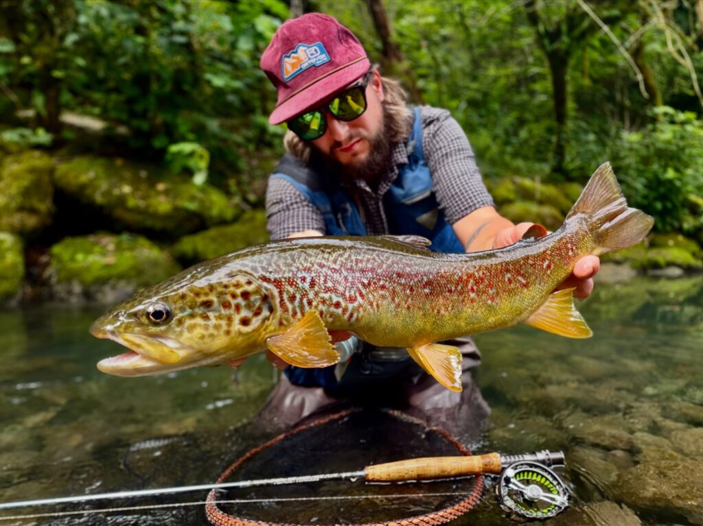 Friuli wildlife. (Agosto ‘26) #FlyFishing #WildTrout #NoKillFishing #CatchAndRelease #FröstaFlyFishing