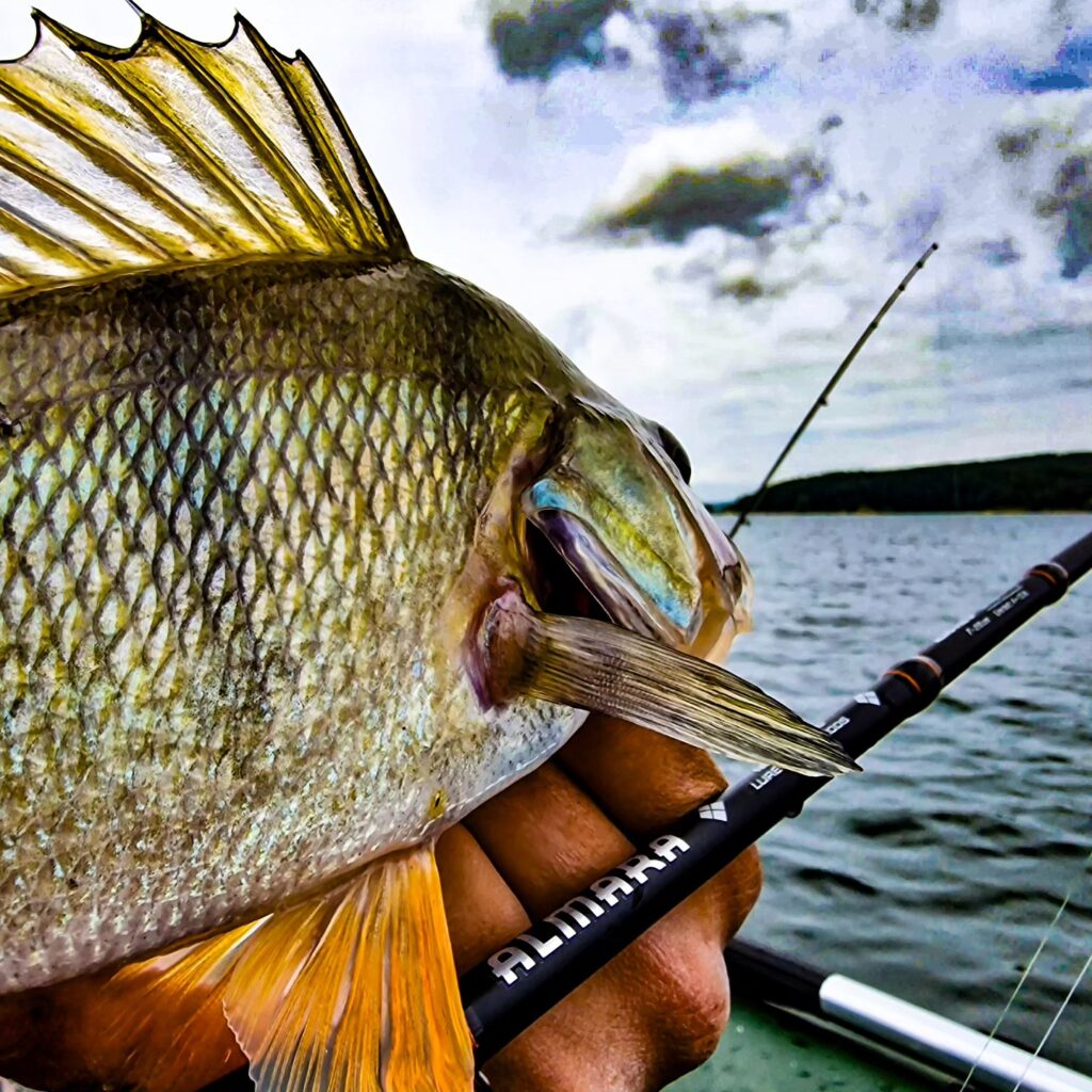 Contenuto Instagram di @sila_fishing_guide