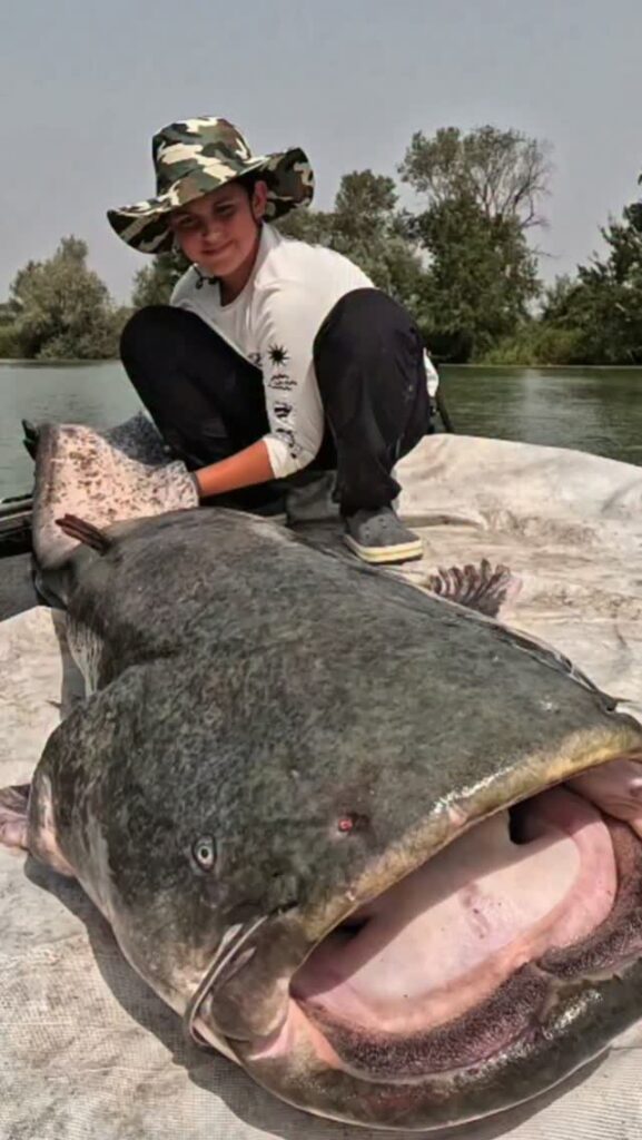💥Young guns, monster catfish, pure adrenaline Big fights, safe releases 💚 Experience…