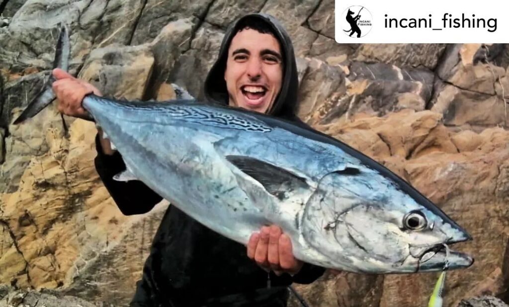 Contenuto Instagram di @aigupp