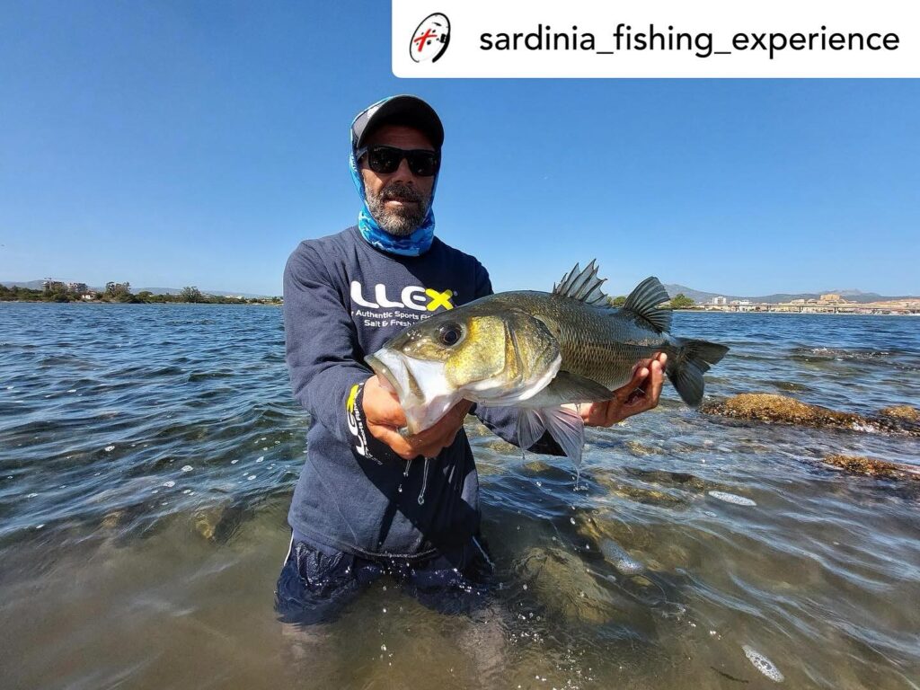 Contenuto Instagram di @aigupp