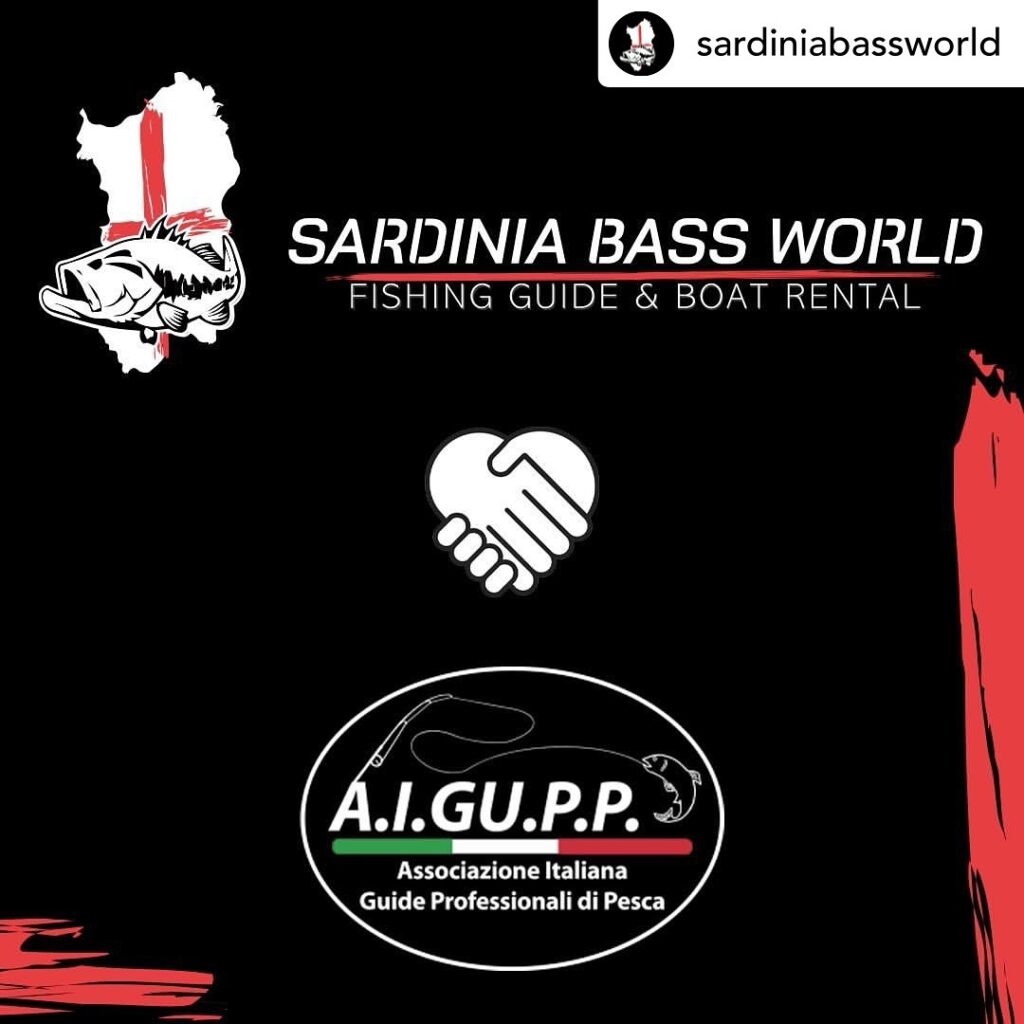 Contenuto Instagram di @aigupp
