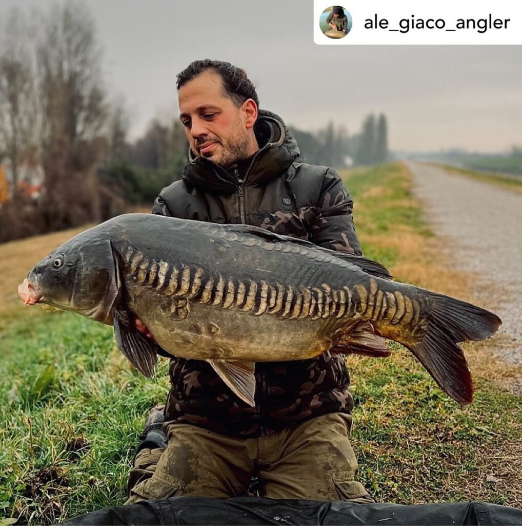 Contenuto Instagram di @aigupp