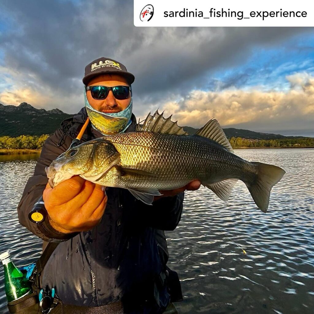 Contenuto Instagram di @aigupp