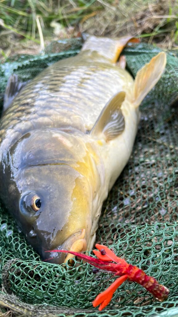 Contenuto Instagram di @ale_giaco_angler