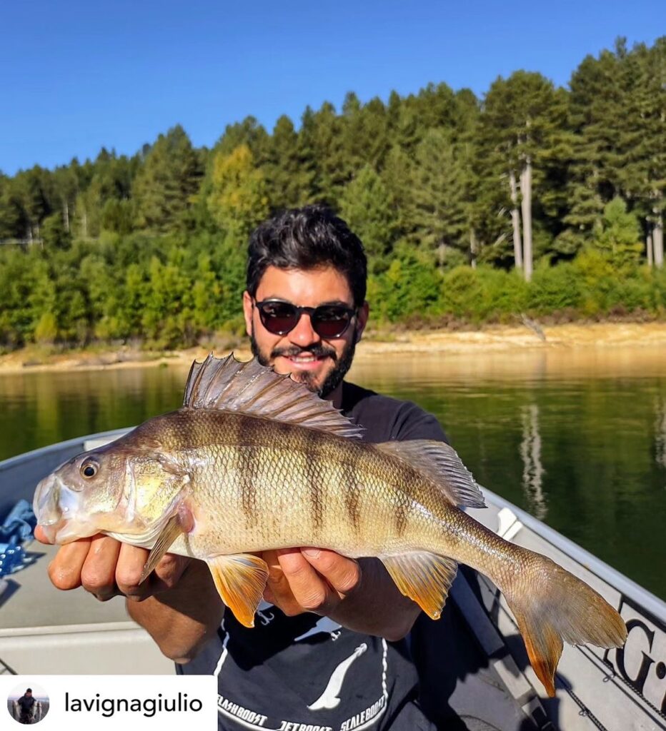 Contenuto Instagram di @aigupp