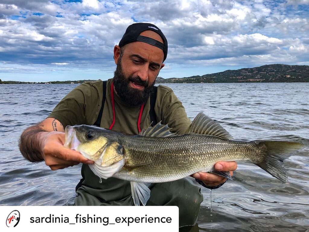 Contenuto Instagram di @aigupp