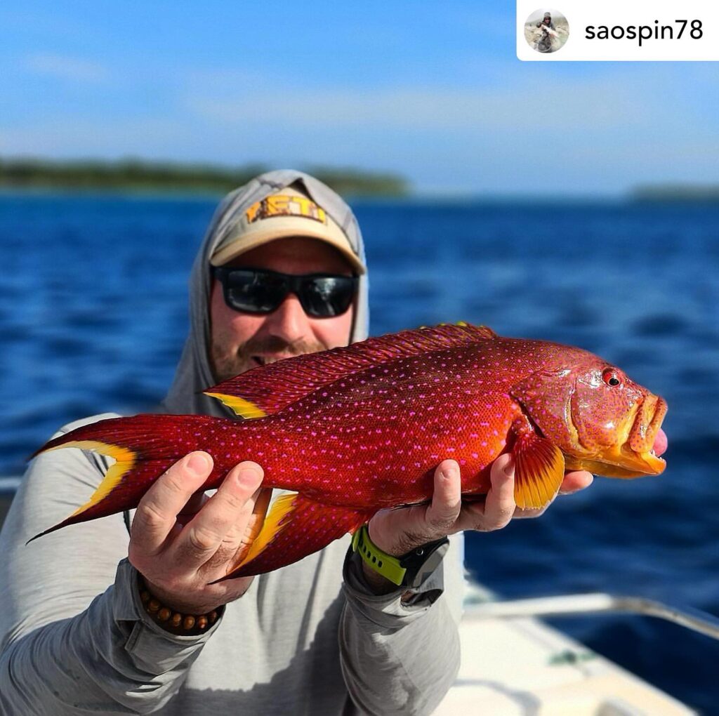 Contenuto Instagram di @aigupp