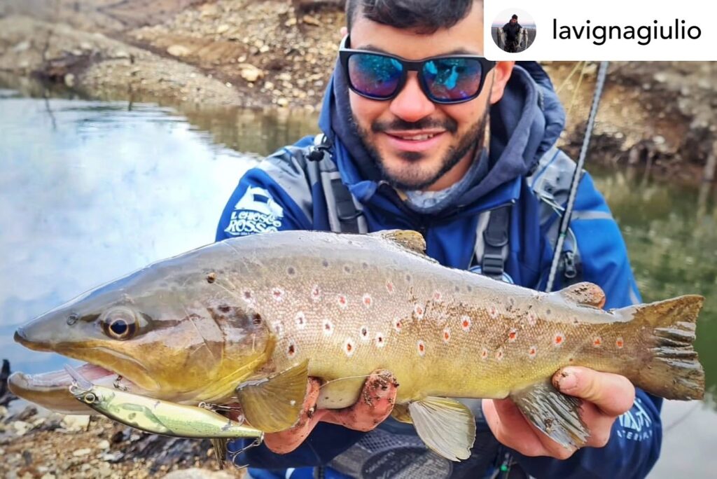 Contenuto Instagram di @aigupp