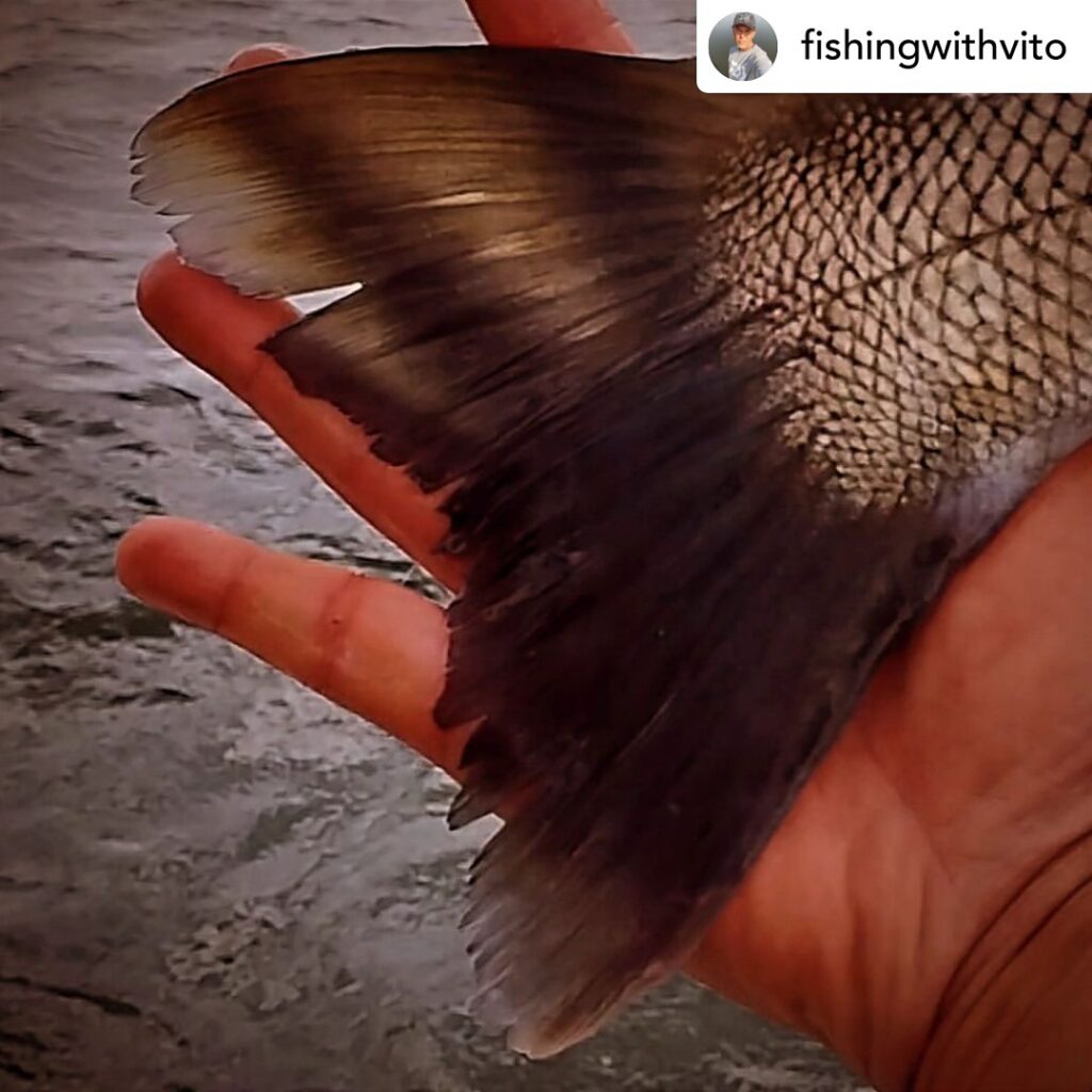 Contenuto Instagram di @aigupp