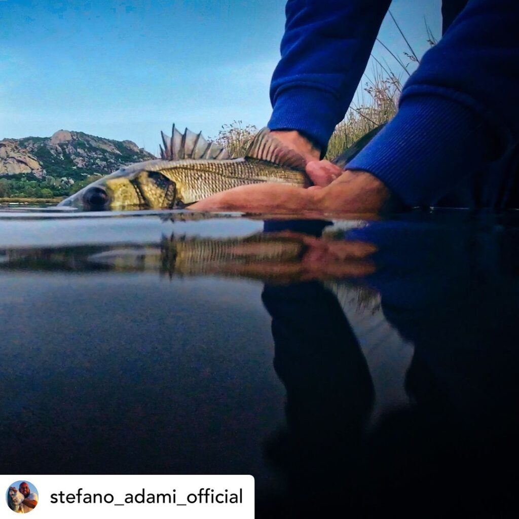 Contenuto Instagram di @aigupp