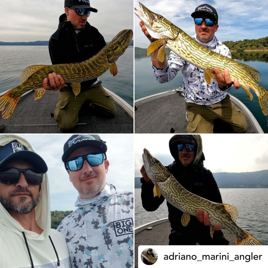 Contenuto Instagram di @aigupp