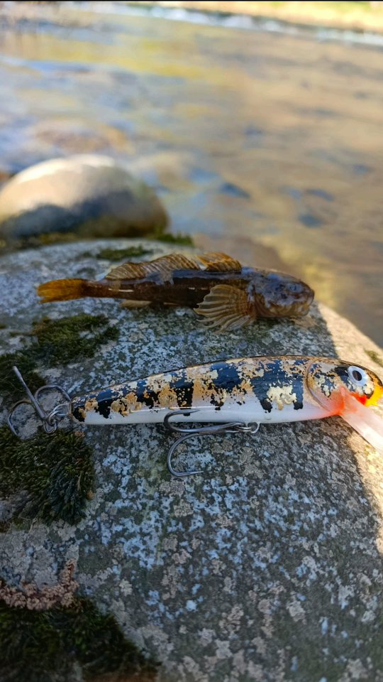 Contenuto Instagram di @sicilian_fishing_guide