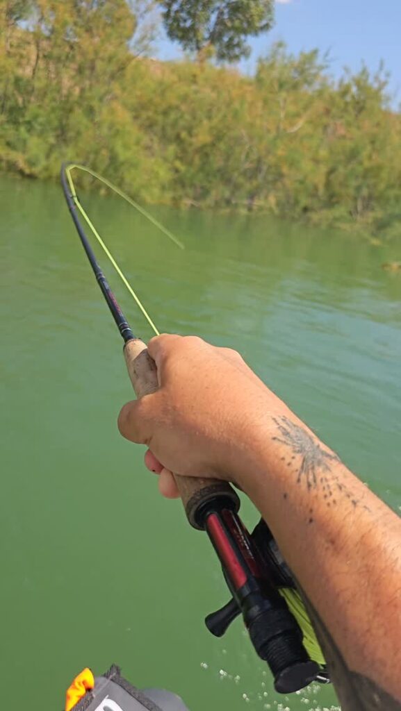Contenuto Instagram di @fly.fishing.sicily.experience