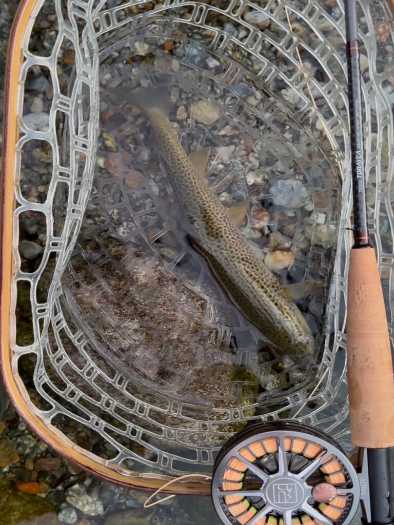 Contenuto Instagram di @frank.fishing.guide.piemonte