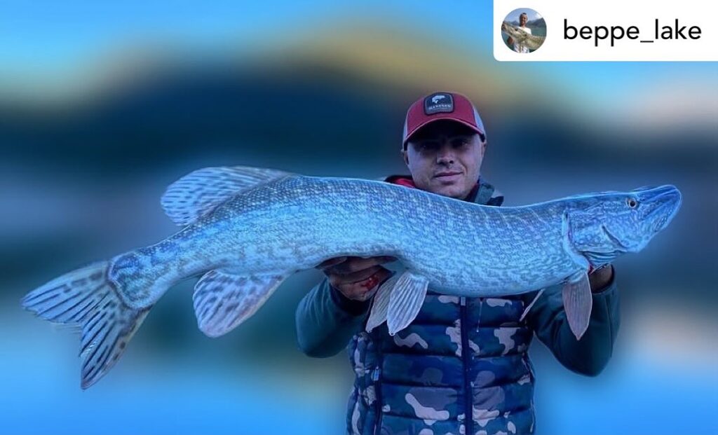 Contenuto Instagram di @aigupp