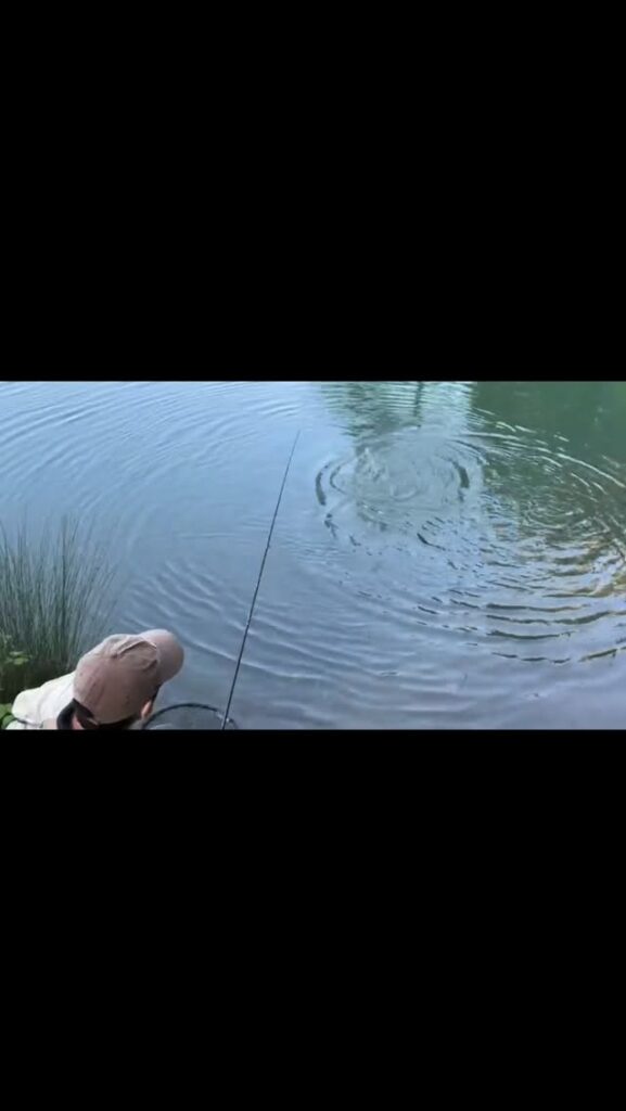 Contenuto Instagram di @carandoandreafishingguide