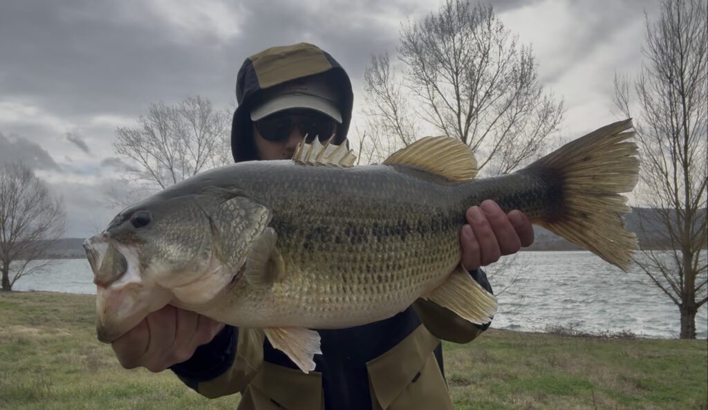 Matteo Cenerini — attività di guida di pesca