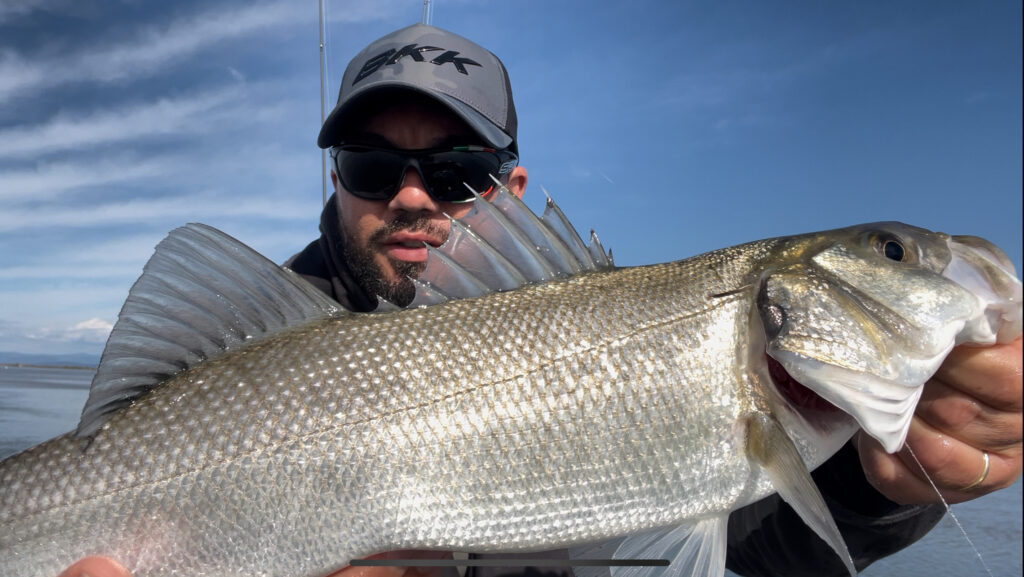 santo Laversa — attività di guida di pesca